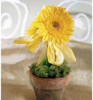 Yellow Gerbera Centerpiece