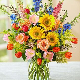 Spring Sensation