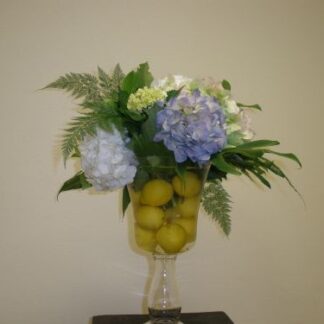 Small Lemons and Hydrangeas