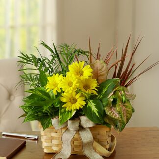 Dish Garden with Fresh Cut Flowers