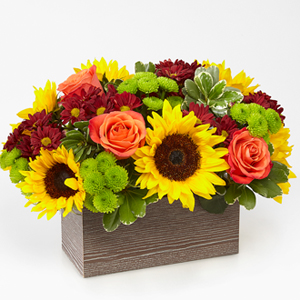 Happy Harvest Garden