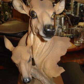 Buck & Doe Head