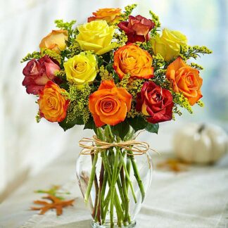 Rose Elegance Premium Long Stem Autumn Roses