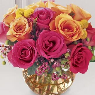 Sundance Premium Rose Bouquet