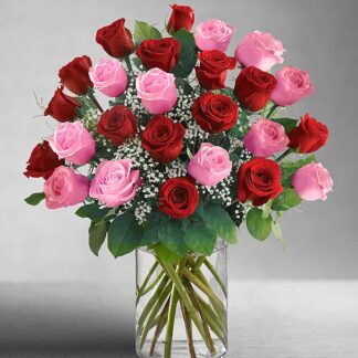 Ultimate Elegance Long Stem Pink & Red Roses