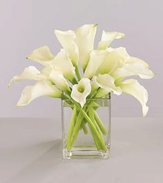 Mini Calla vased