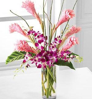 Tropicala Arrangement