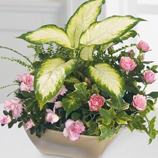 Garden of Grace Planter