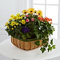 The Gentle Blossoms™ Basket