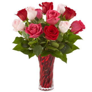Assorted Valentine Roses