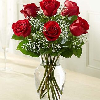 Love's Embrace Half Dz Roses - Red