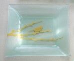 Birdie Satin Gold Square Plate