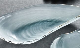 Oyster Shell