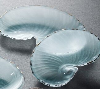 Large nautilus