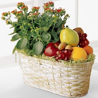 Fruits & Flowers