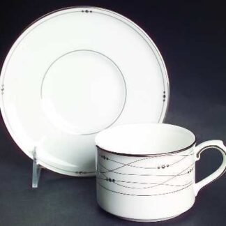 Precious Platinum Tea Cup and Saucer