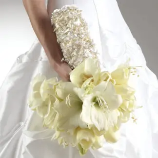 Tulip and amaryllis bouquet