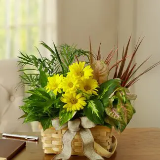Dish Garden with Fresh Cut Flowers