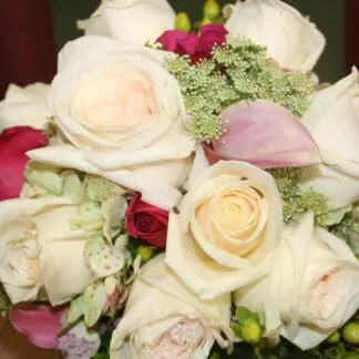 Bridesmaids creams with hot pink