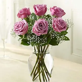 Love's Embrace Roses Purple