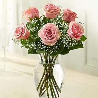 Love's Embrace Roses - Pink