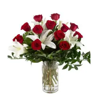 A Perfect Super Dozen Roses