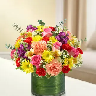 Cherished Memories - Multicolor Bright