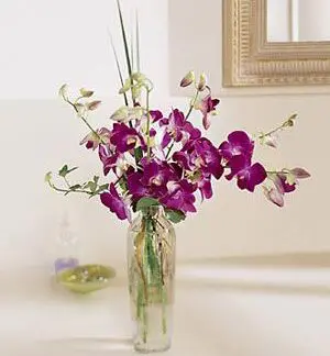 Pacific Paradise Arrangement