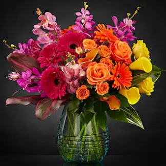 Beyond Brilliant colors Luxury
