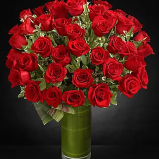YEAR ROUND ROSES