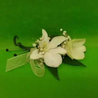 White Orchid Dendro Bout